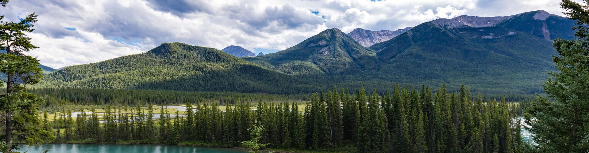 Kolonie i obozy w górach