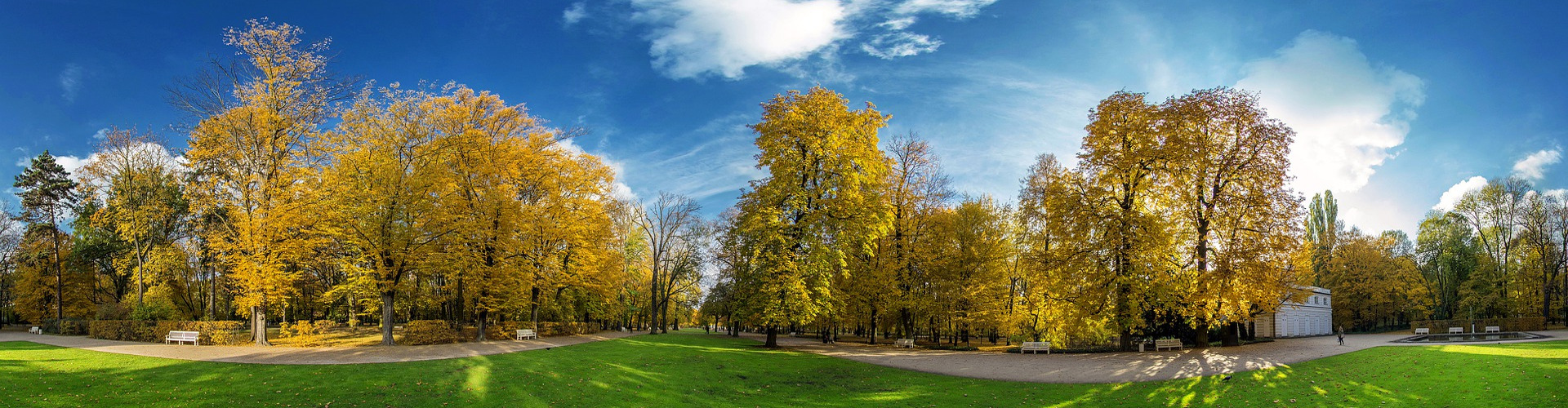 WYCIECZKI SZKOLNE