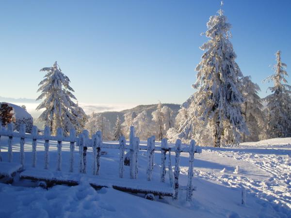 3-parki-wodne-zakopane-217-7.JPG