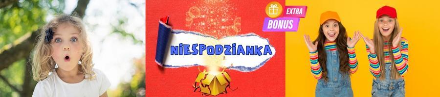 oferta-niespodzianka-256-9.jpg