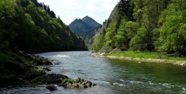 kolonia-pieniny-i-3-aquaparki-338-8.jpg