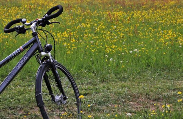 wyprawa-rowerowa-green-velo-66-7.jpg